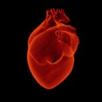 Irregular Heartbeat: Causes, Symptoms, Treatment, and When to See a Doctor